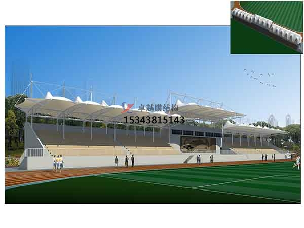 張金<font color='red'>膜結構看臺</font>雨棚生產(chǎn)設計安裝