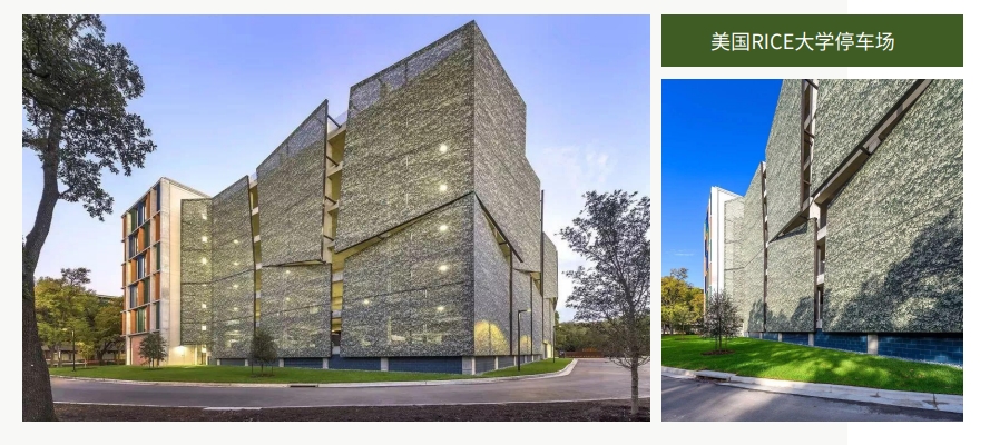 美國RICE大學停車場