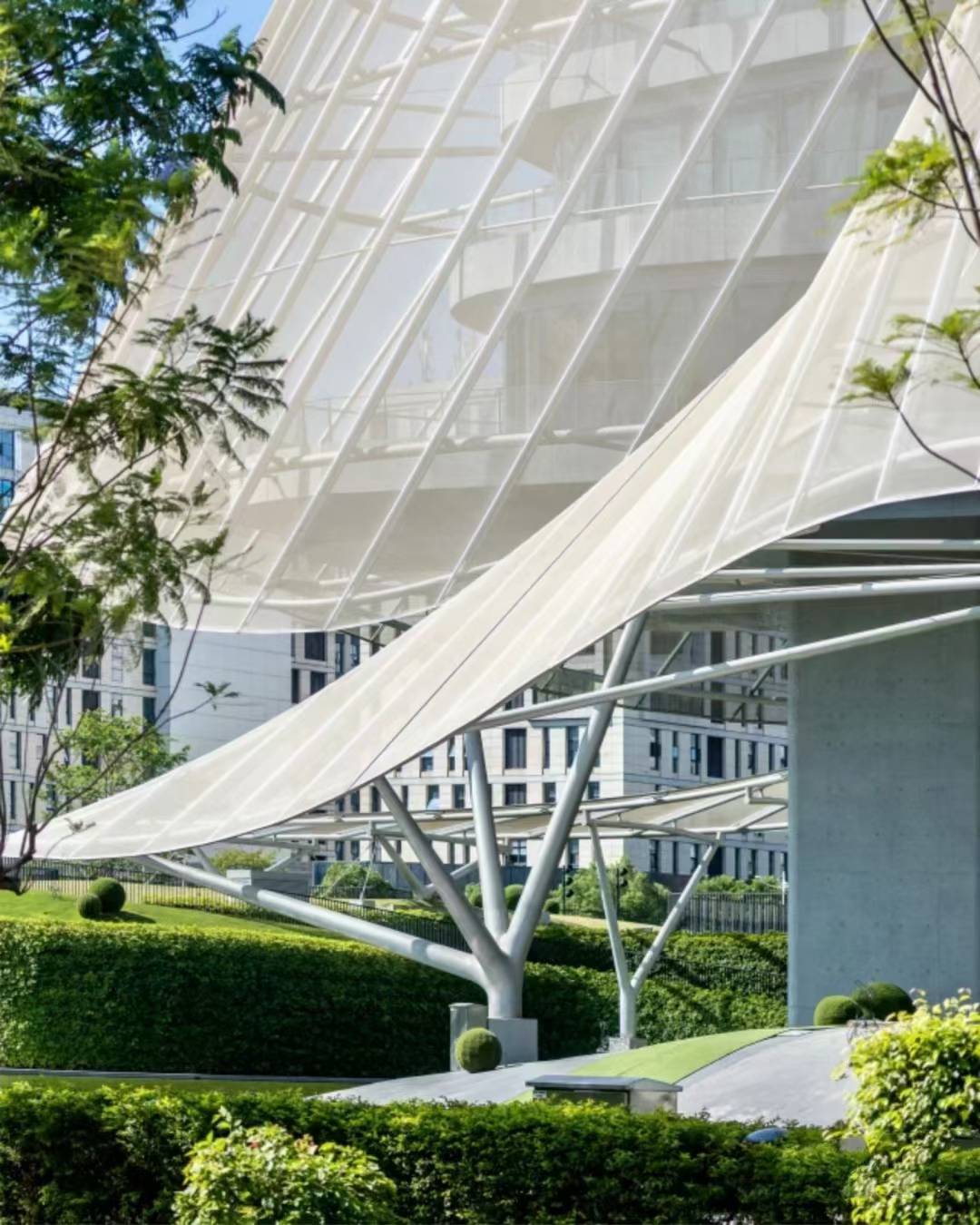 PTFE<font color='red'>網格膜</font>的介紹